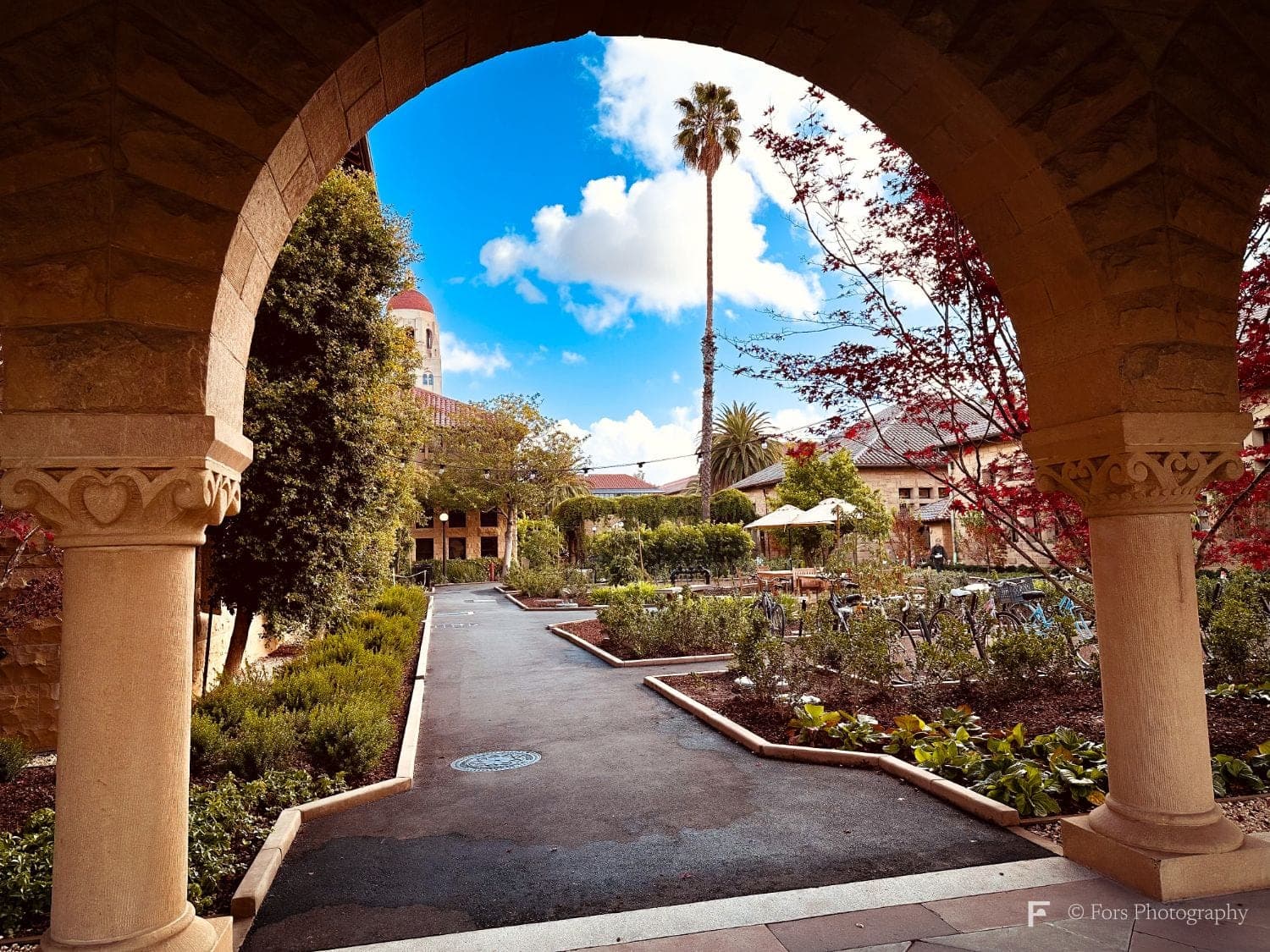 Looking out through a sandstone arch with carved columns onto a garden courtyard, a path passing a tall palm and a red-leafed tree, a tower in the distance under a bright blue sky.